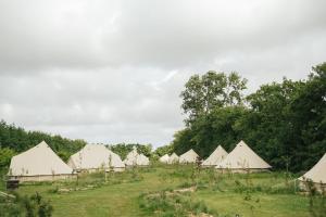 德瓦尔Eco Farm Camping 'de Waeldernis'的相册照片