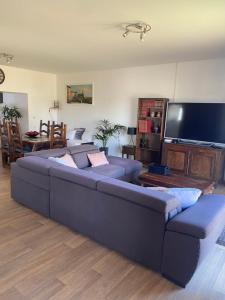 a living room with a blue couch and a flat screen tv at Maison calme à la campagne in Cléré-les-Pins