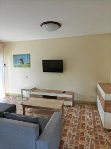 TV a/nebo společenská místnost v ubytování Gamtos Perlas