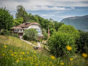 a house on a hill with a field of flowers at Venez Chez Vous La Maison Bleue in Sévrier
