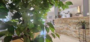 Fotografia z galérie ubytovania Luxury apartment MaLea with jacuzzi and sauna, by the sea v Trogiri