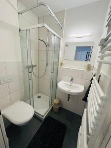 a bathroom with a shower and a toilet and a sink at Sanssouci-FeWo 09 in Bad Kissingen +16 photos