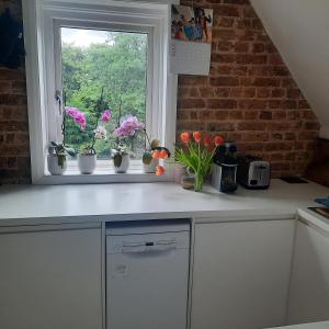 a kitchen window with potted flowers on a counter at Beautiful flat, 30 min away from central London in Bromley +4 photos