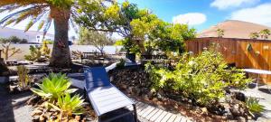 eine Bank in einem Garten mit einer Palme in der Unterkunft Tiny House MADORA - sea view - amazing garden - quiet location - Bodegas & hiking trails nearby in La Asomada