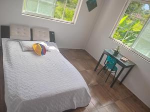 Gallery image of Trekkers haven Enjoy Colombia Ecoliving in Piedecuesta