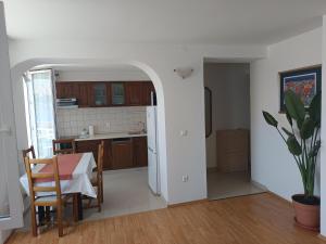 Køkken eller tekøkken på Apartment & studio Elizabet