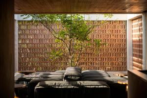a room with a bunch of couches and a tree at Blossom Eco Luxe Villas by Ekosistem in Canggu