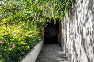 a walkway leading into a tunnel with plants at Blossom Eco Luxe Villas by Ekosistem in Canggu