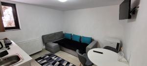 TV a/nebo společenská místnost v ubytování Apartmentul Radu