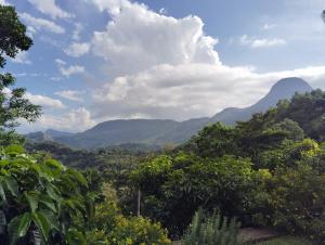a view of a forest with mountains in the background at Knuckles Range Bungalow in Hunnasgiriya