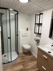 a bathroom with a shower and a toilet and a sink at Gîte Le Grand Chêne  +13 photos