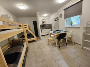 Kuchyň nebo kuchyňský kout v ubytování Apartmány u Mravence
