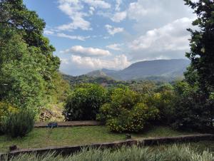 Foto dalla galleria di Knuckles Range Bungalow a Hunnasgiriya Altre 47 foto