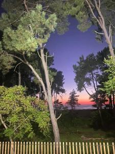 a tree sitting next to a fence with a sunset at Terrace Kapro-one in Itʼkhvisi