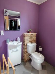 a purple bathroom with a toilet and a sink at Agroturystyka Kozianka in Iława