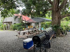 a group of picnic tables under a tree at CASA HERNANDO Private Resort in Apalit