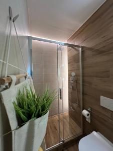 a bathroom with a shower and a toilet with a plant at Chalupa Veselí in Veselí nad Moravou +21 photos
