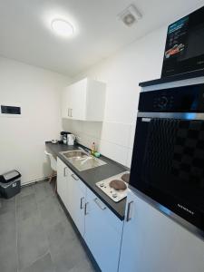 a kitchen with a sink and a stove top oven at Sanssouci-FeWo 10 in Bad Kissingen