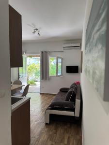 Televízia a/alebo spoločenská miestnosť v ubytovaní Laganini Apartments