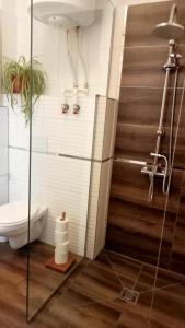 Koupelna v ubytování Bíbic Apartman D