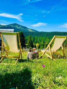 two adirondack chairs sitting in a field of grass at Mountain story apartment in Žabljak