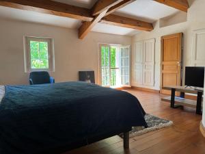 a bedroom with a bed and a desk and a television at Villa Pio in Roquebrune-sur-Argens