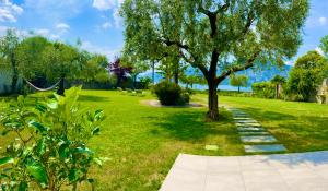 Phong cảnh thiên nhiên gần căn hộ