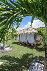 Κήπος έξω από το Villa O'Mangos hibiscus