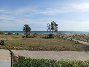 a field with two palm trees on the beach at Espace el aine in Harqalah