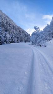 a snow covered road next to a snow covered forest at Mizoun Paola Via Roma 9 in Aisone