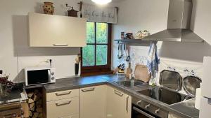 a kitchen with a sink and a microwave at Apartment Olga in Babno Polje