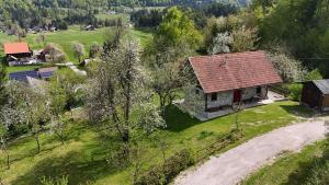 an aerial view of a house with a red roof at Apartment Olga in Babno Polje