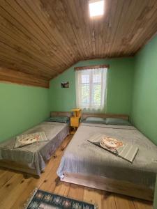 two beds in a room with green walls and wooden floors at SOPHIE GuestHouse in Grigoleti