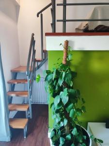 Кровать или кровати в номере Apartmani Seka