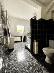 a black and white bathroom with a toilet and a sink at Ferienidyll an der Recknitz in Tessin +21 photos