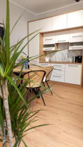 a kitchen with two chairs and a table at Apartament Willa Kilińskiego in Grudziądz