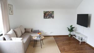 Μια τηλεόραση ή/και κέντρο ψυχαγωγίας στο Stillvolles Apartment VS