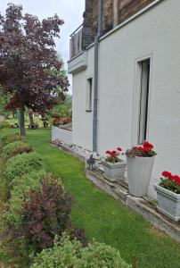 Zahrada ubytování Aquarell Apartments