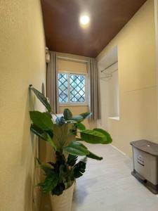 Fotografie z fotogalerie ubytování Ann Home v Ho Či Minově městě