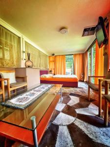 a large room with a bed and a table at Holiday Home Nature Neno in Visoko