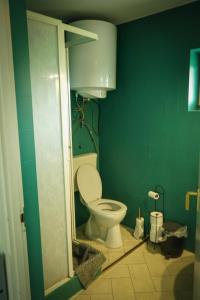 a bathroom with a toilet in a green wall at Pinot Gris House in Káptalantóti