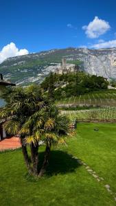 a palm tree in a field with a castle in the background at Casa al Molino - Il Nido in Drena