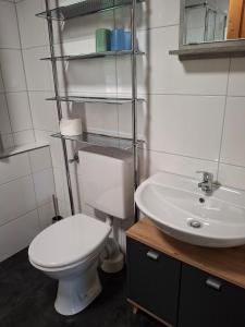un bagno con un water e un lavandino di Ferienhaus Tamara In Eppenschlag a Eppenschlag Altre 20 foto