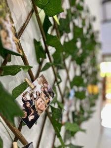 Zahrada ubytování Terima Kasih Malang by Zzz + 18 fotografií