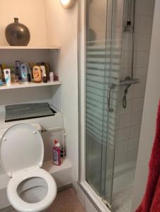 ein Badezimmer mit Toilette und Dusche in der Unterkunft SCI Lebach in Bagnères-de-Bigorre
