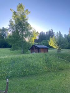 Zahrada ubytování Poschiavo Maiensäss auf 1400m