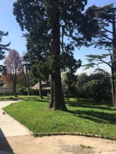 シェシーにあるAppartement Chessy,près de Val D’europeの歩道横の草木