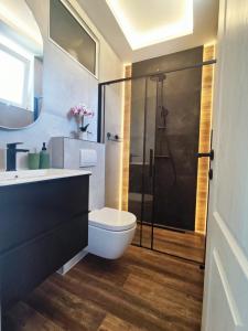 ein Badezimmer mit Dusche, Toilette und Waschbecken in der Unterkunft Apartment FortyTwo in Orebić