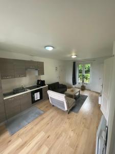 シェシーにあるAppartement Chessy,près de Val D’europeのソファとキッチンのあるリビングルーム