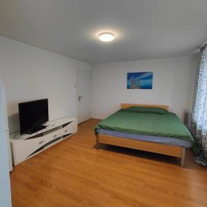 Televisyen dan/atau pusat hiburan di Apartment Buchental , Ruhig und zentral in St Gallen +1 gambar